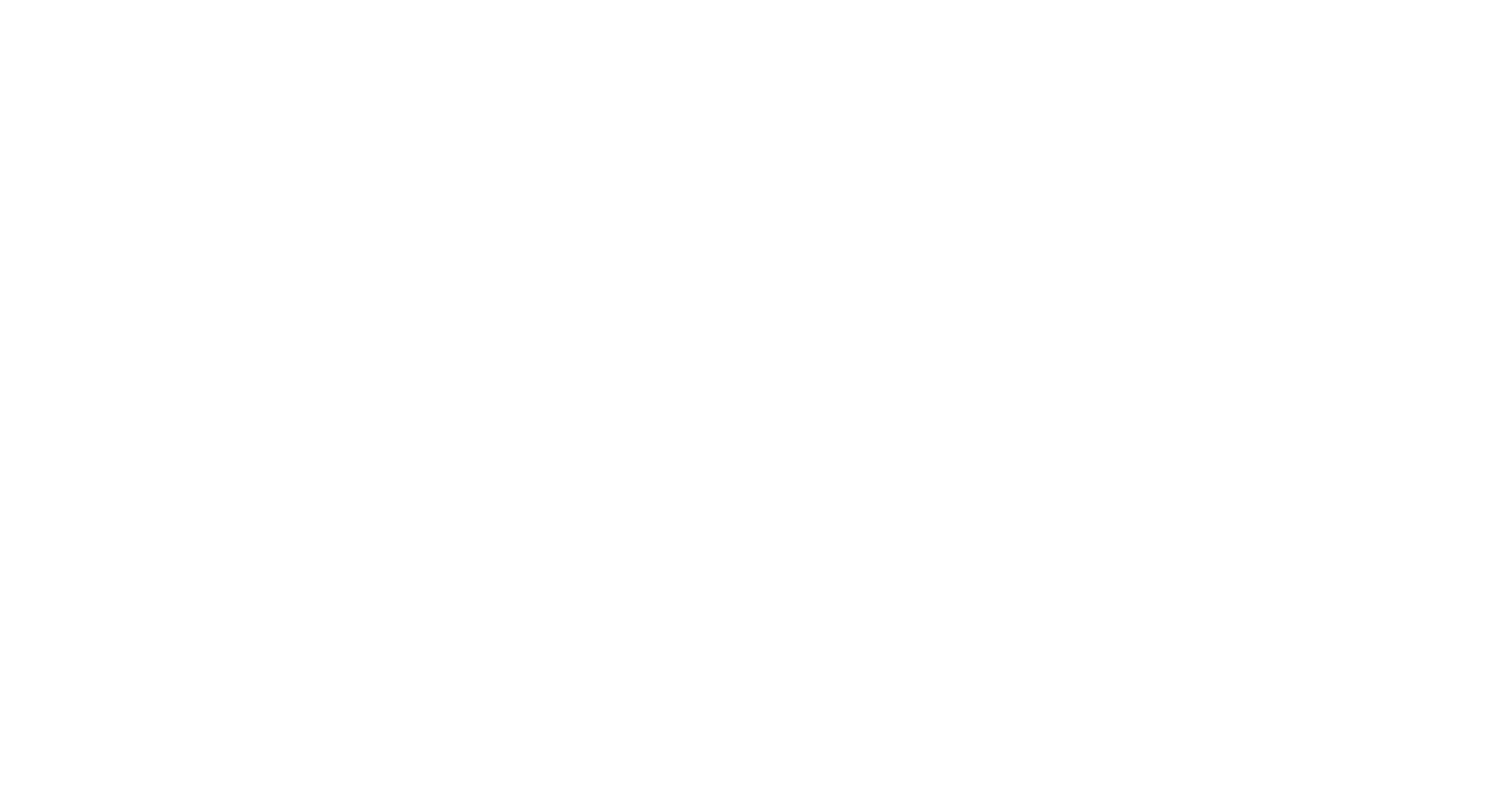RECKLESS Streetwear